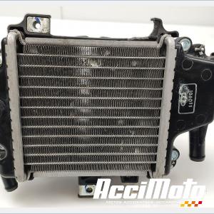 Radiateur de refroidissement HONDA PCX125