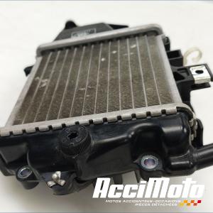 Radiateur de refroidissement HONDA PCX125