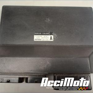 Kit neiman+cdi SUZUKI GSXR 1340 HAYABUSA