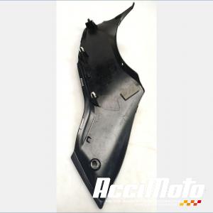 Intérieur de tête de fourche (droit) SUZUKI GSXR 1340 HAYABUSA