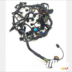 Main wiring TRIUMPH SPEED TRIPLE 1050 RS