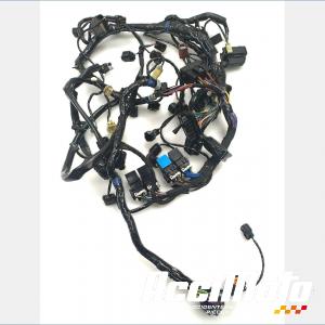 Faisceau électrique (principal) TRIUMPH SPEED TRIPLE 1050 RS