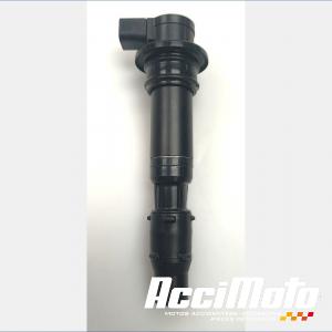 Bobine crayon TRIUMPH SPEED TRIPLE 1050 RS