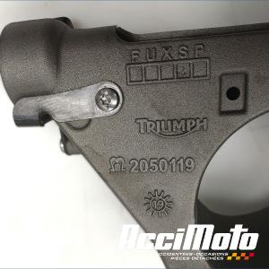 MONO BRAS OSCILLANT TRIUMPH SPEED TRIPLE 1050 RS