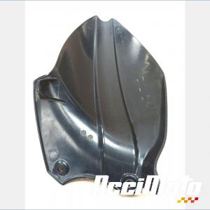 Ras de roue (sur bras oscillant) TRIUMPH SPEED TRIPLE 1050 RS