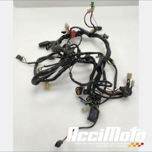 Faisceau électrique (principal) KAWASAKI ZRX 1100