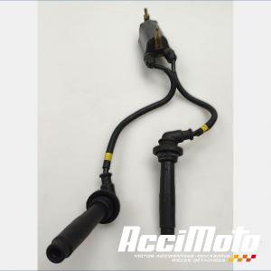 Bobine d'allumage (1/4) KAWASAKI ZRX 1100