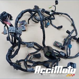 Faisceau électrique (principal) KAWASAKI NINJA EX650