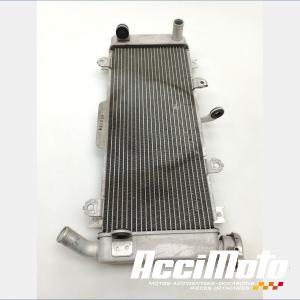 Radiateur de refroidissement KAWASAKI NINJA EX650