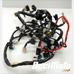 Faisceau électrique (principal) YAMAHA TMAX XP530