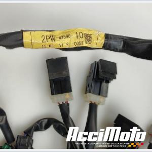 Faisceau électrique (principal) YAMAHA TMAX XP530