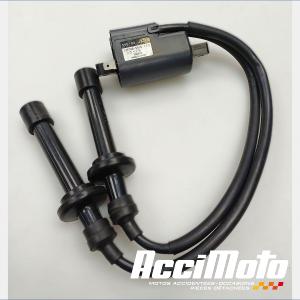 Bobine d'allumage YAMAHA TMAX XP530