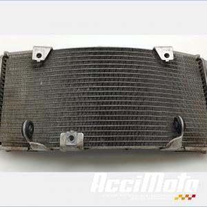 Radiateur de refroidissement YAMAHA TMAX XP530