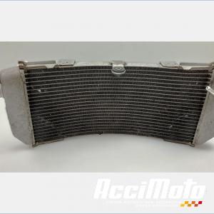 Radiateur de refroidissement YAMAHA TMAX XP530