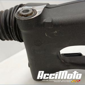 Bras oscillant BMW R1300 GS