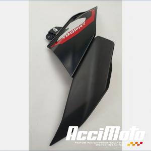 Flanc de carénage avant (droit) BMW R1300 GS