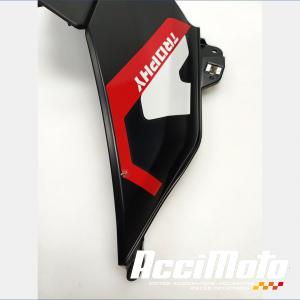 Flanc de carénage avant (droit) BMW R1300 GS