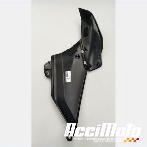 Flanc de carénage avant (droit) BMW R1300 GS