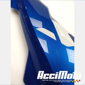 Flanc de carénage avant (gauche) BMW R1300 GS