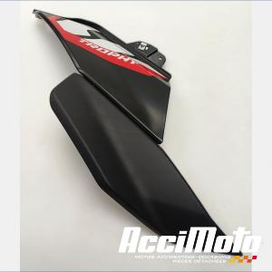 Flanc de carénage avant (gauche) BMW R1300 GS