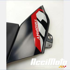 Flanc de carénage avant (gauche) BMW R1300 GS
