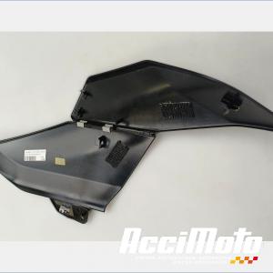 Flanc de carénage avant (gauche) BMW R1300 GS