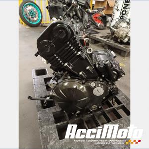 Moteur KAWASAKI ER6 N