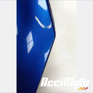 Dessous de tête de fourche BMW R1300 GS