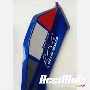 Dessous de tête de fourche BMW R1300 GS