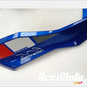 Dessous de tête de fourche BMW R1300 GS