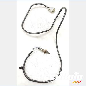 Sonde lambda HARLEY DAVIDSON ROAD GLIDE FLTRXST