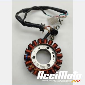 Stator d'alternateur YAMAHA YBR 125