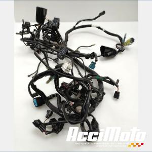 Main wiring KAWASAKI NINJA EX400
