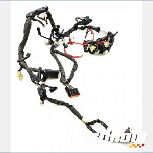 Faisceau électrique (principal) YAMAHA FZ8 N