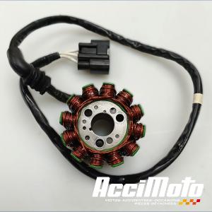 Stator d'alternateur YAMAHA FZ8 N