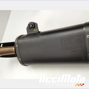 Silencieux (origine) YAMAHA FZ8 N