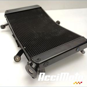 Radiateur de refroidissement YAMAHA FZ8 N