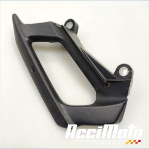 Poignée passager (la paire) YAMAHA FZ8 S