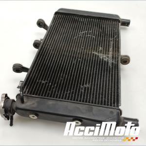 Radiateur de refroidissement YAMAHA MT-09