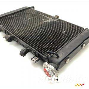 Radiateur de refroidissement YAMAHA MT-09