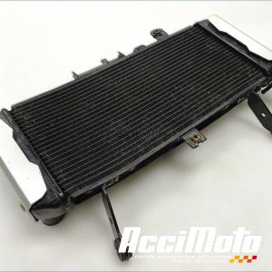 Radiateur de refroidissement SUZUKI SV 650N