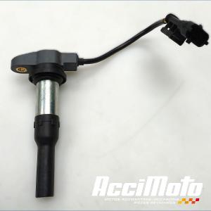 Bobine crayon DUCATI PANIGALE 1100 V4S