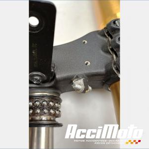 Fourche complète DUCATI PANIGALE 1100 V4S