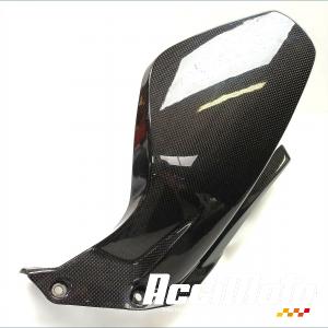 Ras de roue (sur bras oscillant) DUCATI PANIGALE 1100 V4S