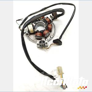 Stator d'alternateur YAMAHA DTR 125