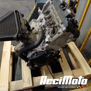 Moteur SUZUKI GSXR 1000