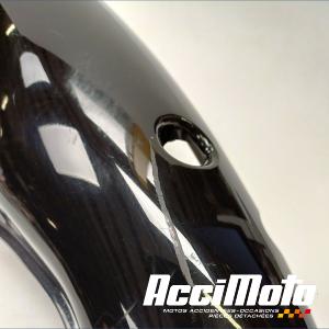 Coque arrière (gauche) TRIUMPH TT 600