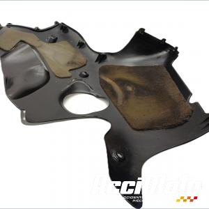 Flanc de carénage avant (gauche) TRIUMPH TT 600