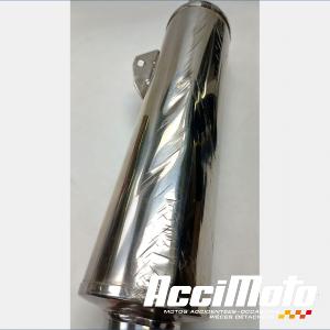 Silencieux (origine) TRIUMPH TT 600