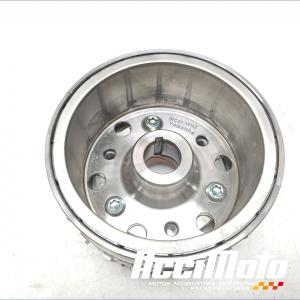 Rotor d'alternateur YAMAHA MT-09